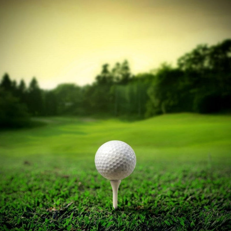 Laad afbeelding in Galerijviewer, Te midden van een weelderige, groene golfbaan met hoge bomen en een zachtgele lucht, houdt een &quot;Professionele houten golftee: de beste basis voor je swing&quot; de golfbal met precisie vast.
