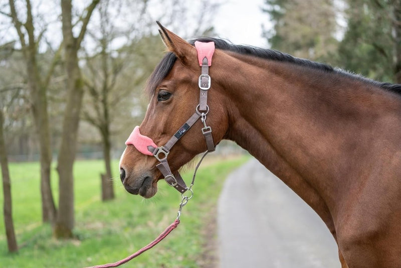 Laad afbeelding in Galerijviewer, Op een pad omgeven door weelderig groen draagt een bruin paard het &quot;Ontdek de beste halster met draadslot voor jouw paard!&quot; aangevuld met een roze neusriemhalster met gewatteerd neus- en nekstuk.
