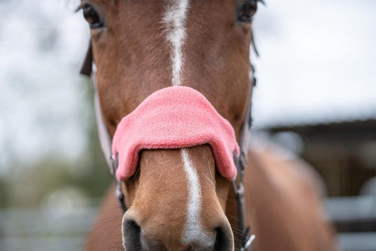 Close-up van een paard met een roze fleece neusriem met de extra veiligheid van ons premium "Ontdek de beste halster met draadslot voor jouw paard!.