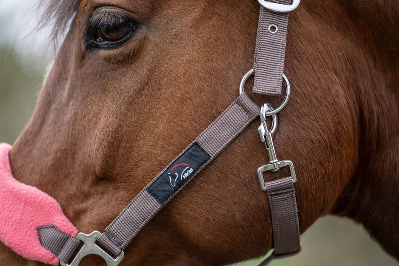 Laad afbeelding in Galerijviewer, Close-up van het gezicht van een bruin paard met het &quot;Ontdek de beste halster met draadslot voor jouw paard!&quot; in bruin, voorzien van metalen beslag en een roze neusriem van hoogwaardig polyester. Op het hoofdstel is een klein zwart logolabel zichtbaar.
