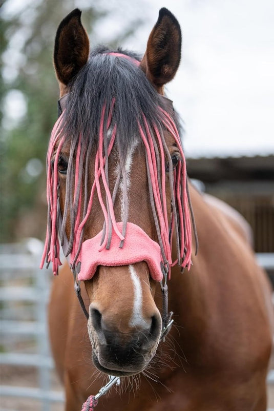 Een bruin paard met een witte gezichtsstreep draagt een vliegenmasker met roze rand op een omheinde buitenruimte, comfortabel beveiligd door het "Ontdek de beste halster met draadslot voor jouw paard!.