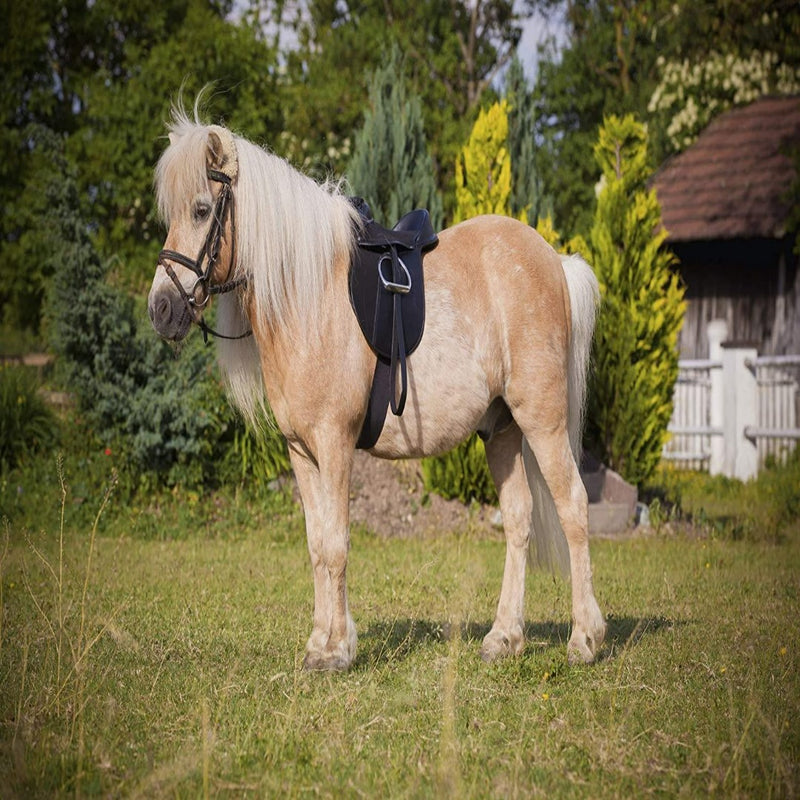 Laad afbeelding in Galerijviewer, Een kleine bruine pony met lange, lichte manen staat op gras, omringd door groen en een houten constructie, en draagt een zwart Pony zadel economy: Comfortabel en betaalbaar gemaakt van synthetisch zadelmateriaal.
